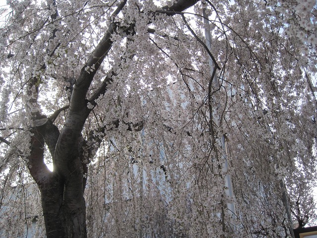 f0202703_21304839.jpg