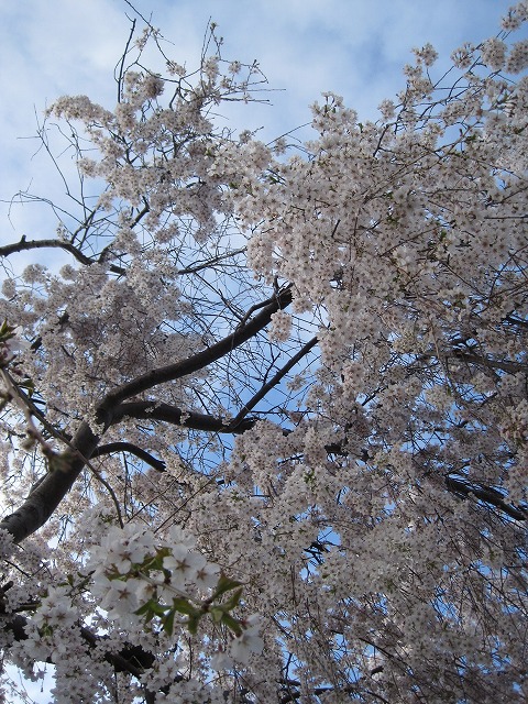 f0202703_213185.jpg