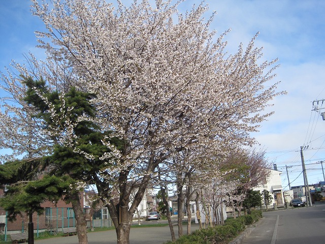 f0202703_21353750.jpg