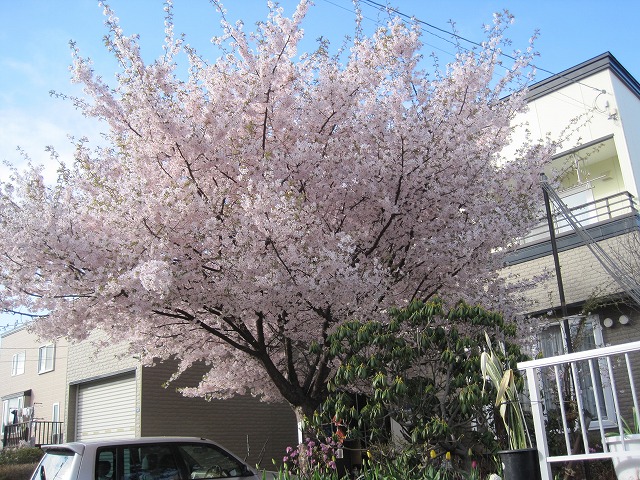 f0202703_21355331.jpg