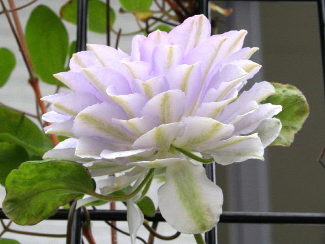 f0054904_17425055.jpg