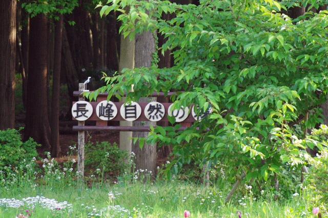 e0138005_035353.jpg