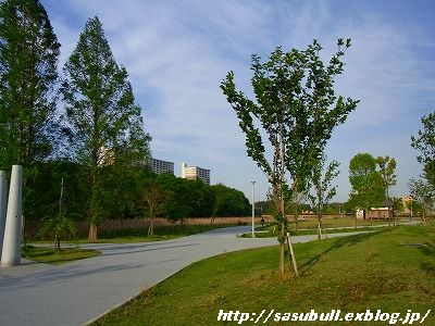 e0145805_20484230.jpg
