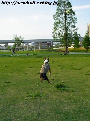 e0145805_20511142.jpg