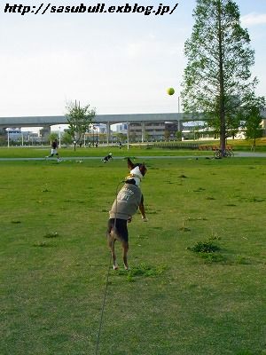 e0145805_205115.jpg