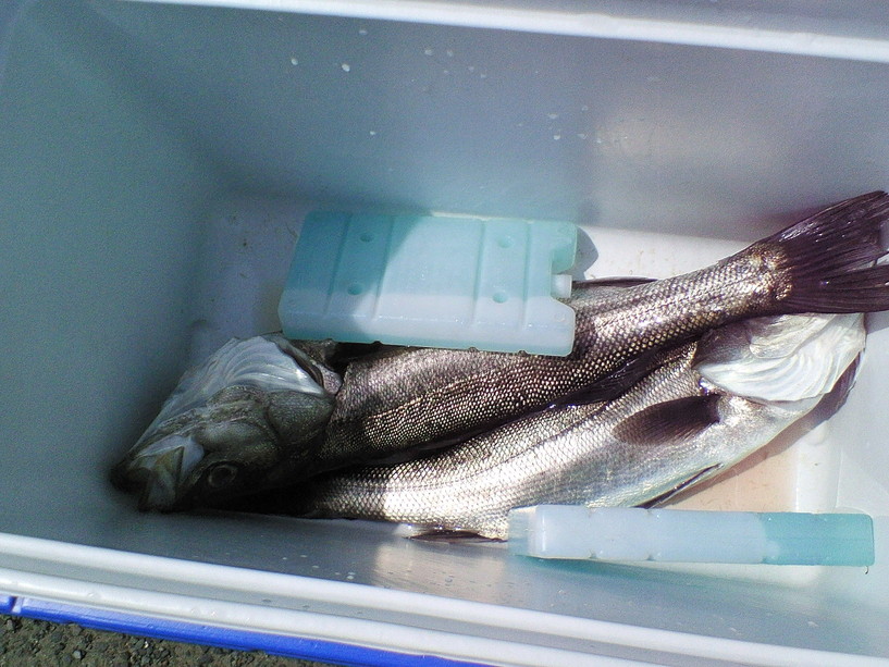 c0143106_22431169.jpg