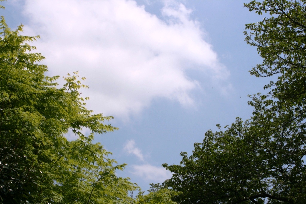 b0049307_523873.jpg