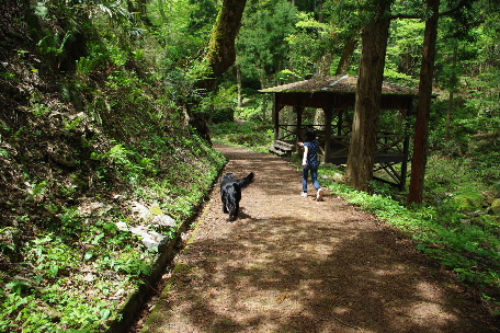 c0056707_1824265.jpg