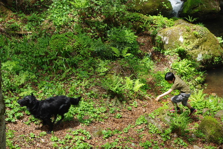 c0056707_18244255.jpg