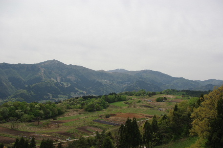 c0056707_2323145.jpg