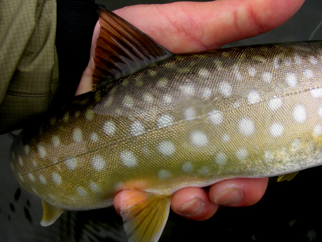 d0051707_2132170.jpg