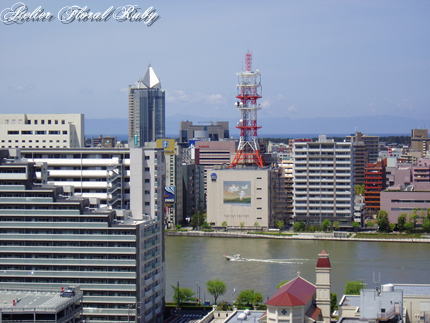 d0001008_1831031.jpg