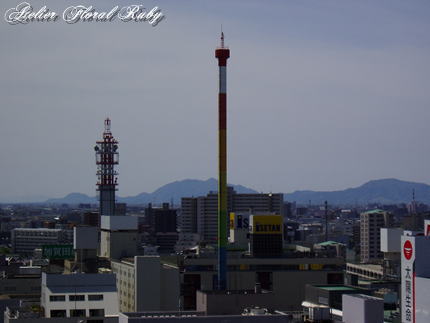 d0001008_183137100.jpg