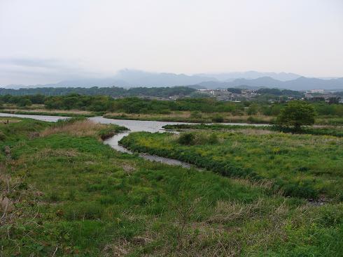 e0123808_1422753.jpg