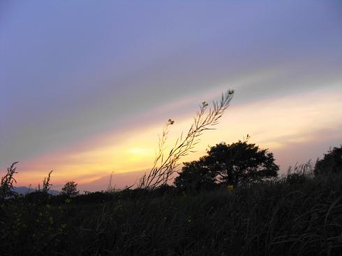 e0123808_1430661.jpg