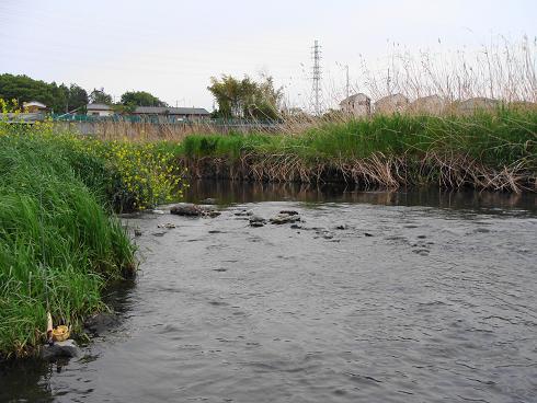 e0123808_146194.jpg