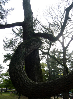 c0008209_1281960.jpg