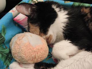 c0201113_082357.jpg