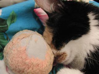 c0201113_09484.jpg