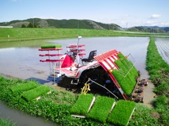 a0118120_20371870.jpg