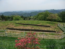 f0037623_1972618.jpg