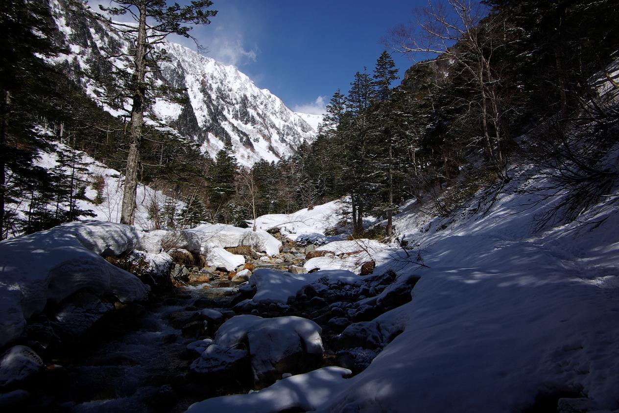 b0062024_851890.jpg
