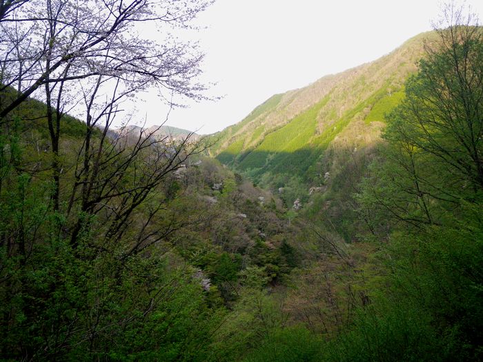 f0188724_191383.jpg