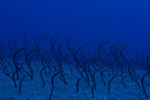 f0206424_13403125.jpg