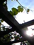 e0182926_2220195.jpg