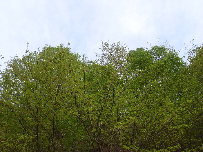 f0103126_21453561.jpg