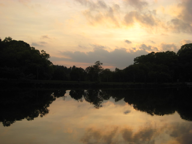 d0147727_18232145.jpg