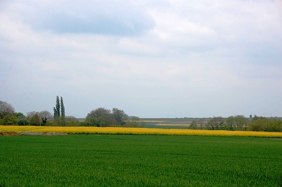 f0095128_5135187.jpg