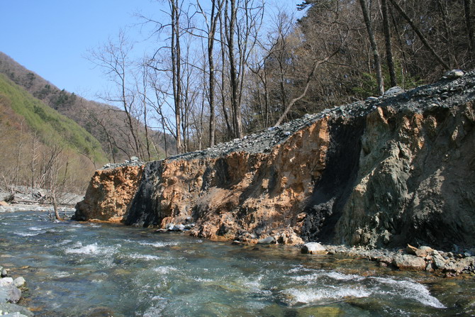 c0035931_178050.jpg