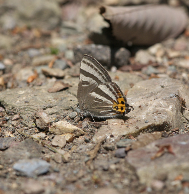 a0126632_20124154.jpg