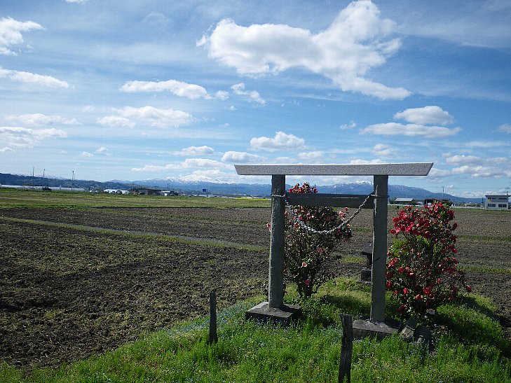f0118332_22194328.jpg
