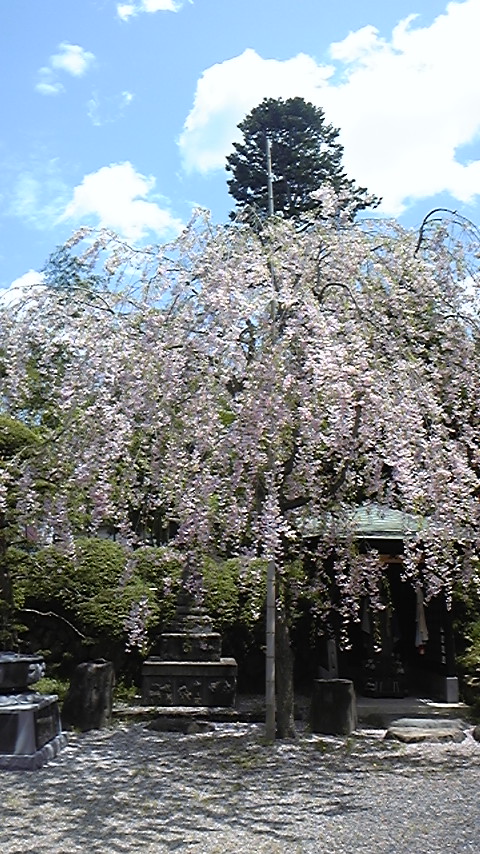 f0161333_7571264.jpg