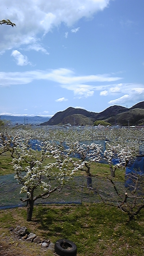 f0161333_7571291.jpg