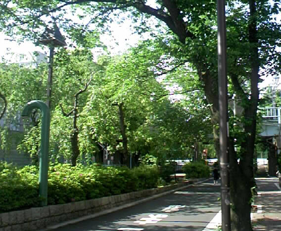 f0034334_16113940.jpg