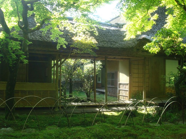 b0131436_16324041.jpg