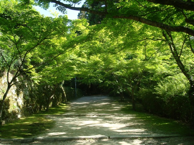 b0131436_16341254.jpg