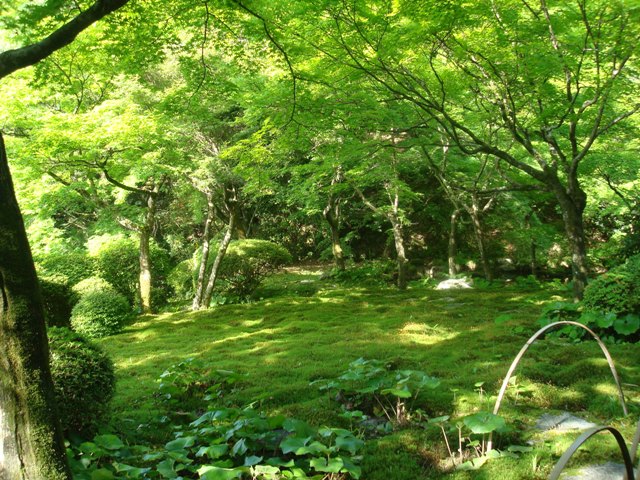 b0131436_16353677.jpg