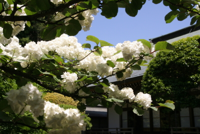 f0214837_19481666.jpg