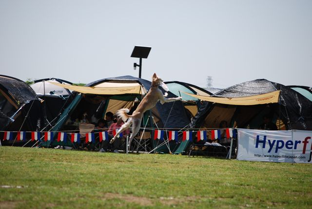 f0039538_21304812.jpg