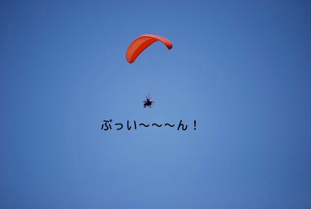 f0039538_21421512.jpg