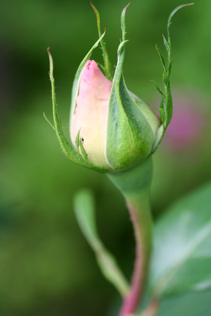 f0224138_934212.jpg