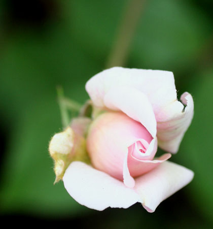 f0224138_9343783.jpg