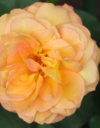 f0224138_9354082.jpg