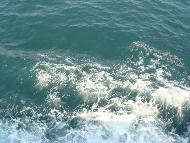 a0046339_12484340.jpg
