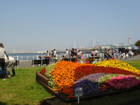 a0046339_1255451.jpg