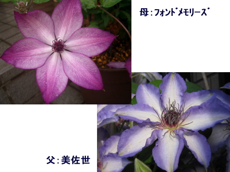 c0025140_1538501.jpg